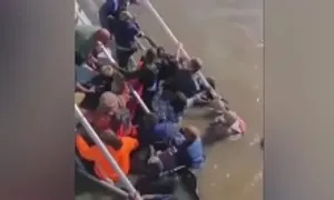 Khoảnh khắc hỗn loạn khi cầu tàu Mỹ bị sập khiến 7 người chết